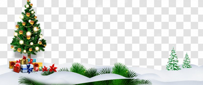Christmas Tree Background Material - Holiday - Pine Transparent PNG