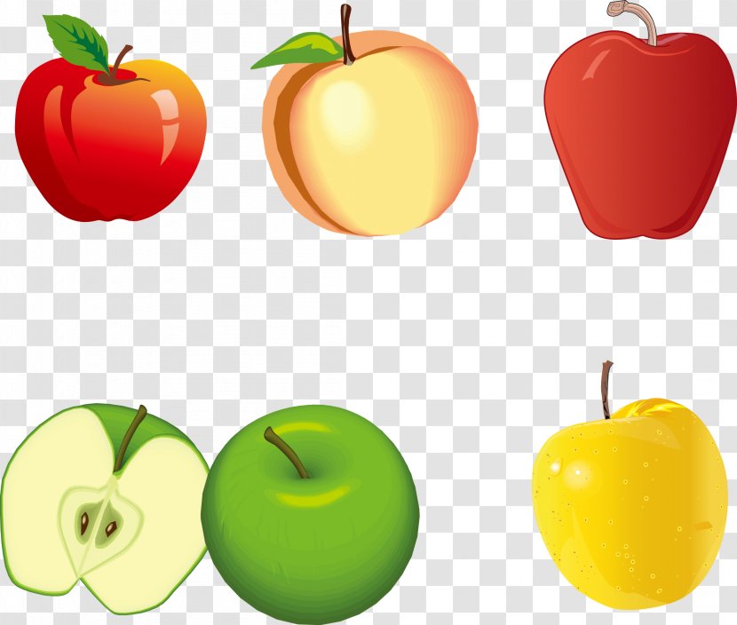 Color Apple - Scalable Vector Graphics - Different Colors And Types Of Apples Transparent PNG
