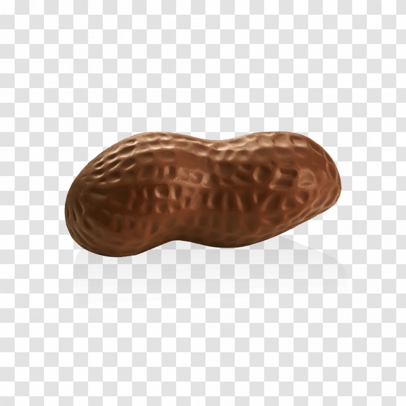 Peanut Praline Ghraoui Chocolate Biscuits - Experience - Gaufrette Transparent PNG