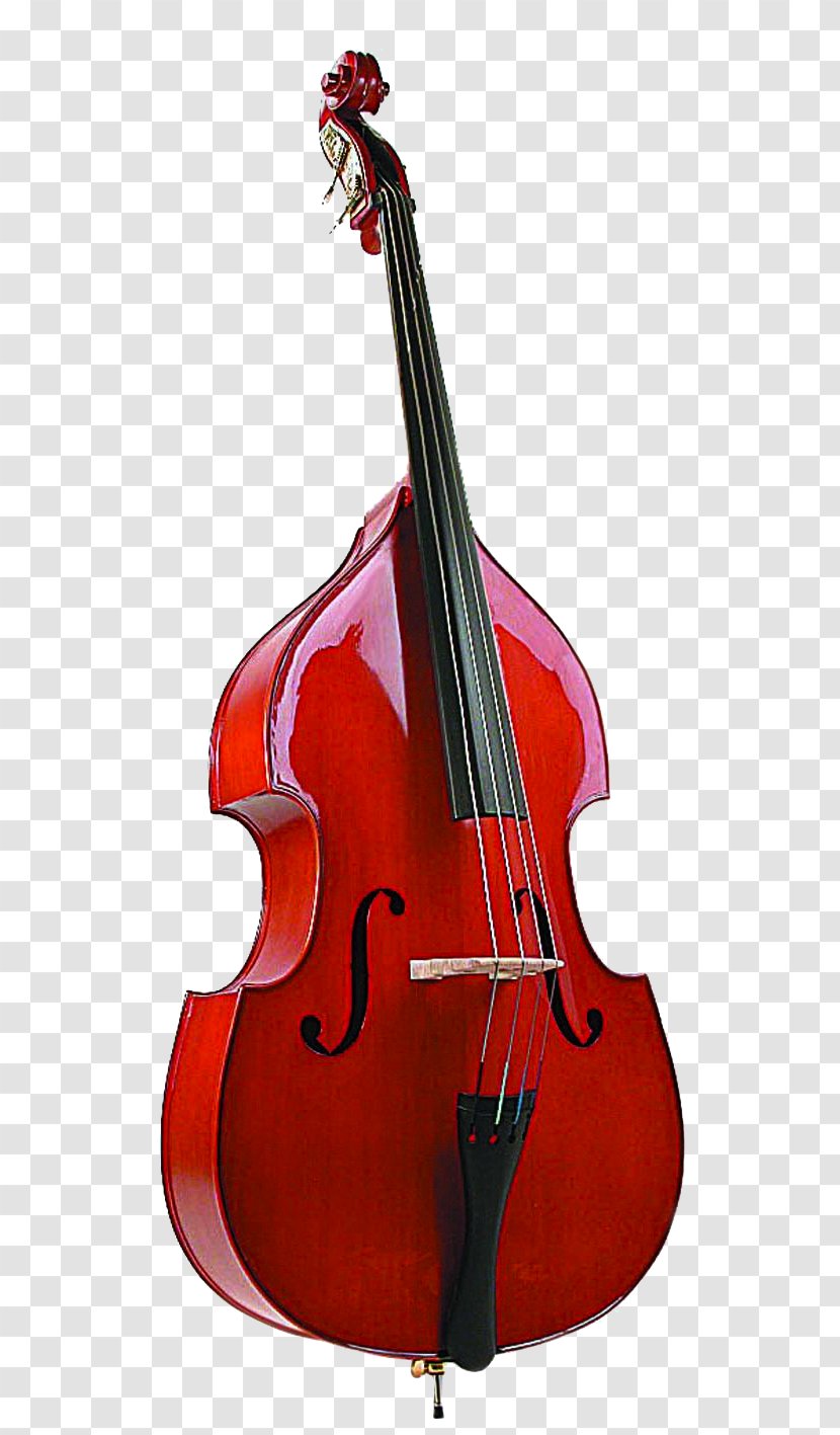 Fender Precision Bass Double Cello Violin Viola - Tololoche - Cola Transparent PNG
