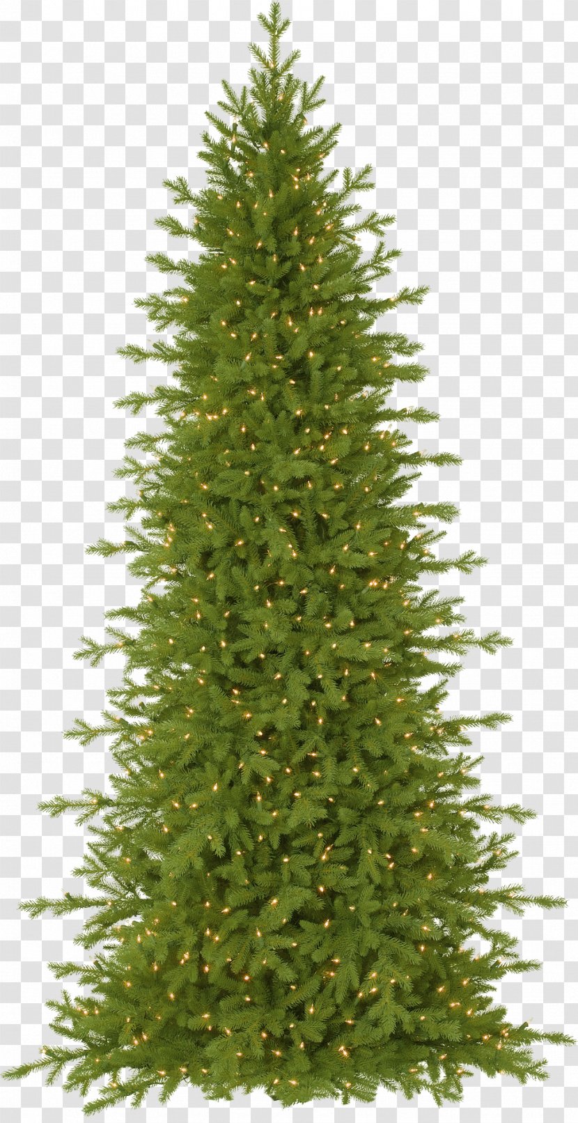 Picea Rubens Balsam Hill Artificial Christmas Tree Fir - Conifer - Golden Neon Transparent PNG