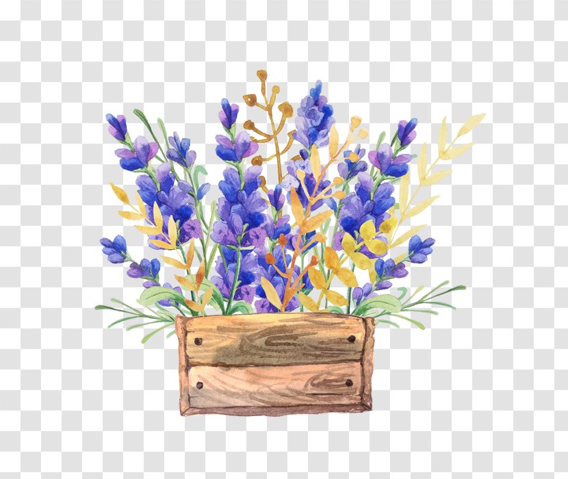 English Lavender Watercolor Painting Flower Drawing Box - Baskets Transparent PNG