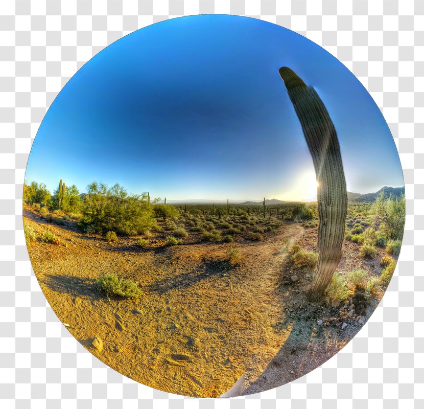 Landscape Ecosystem Ecoregion Panorama Sky Plc - Arizona Desert Transparent PNG