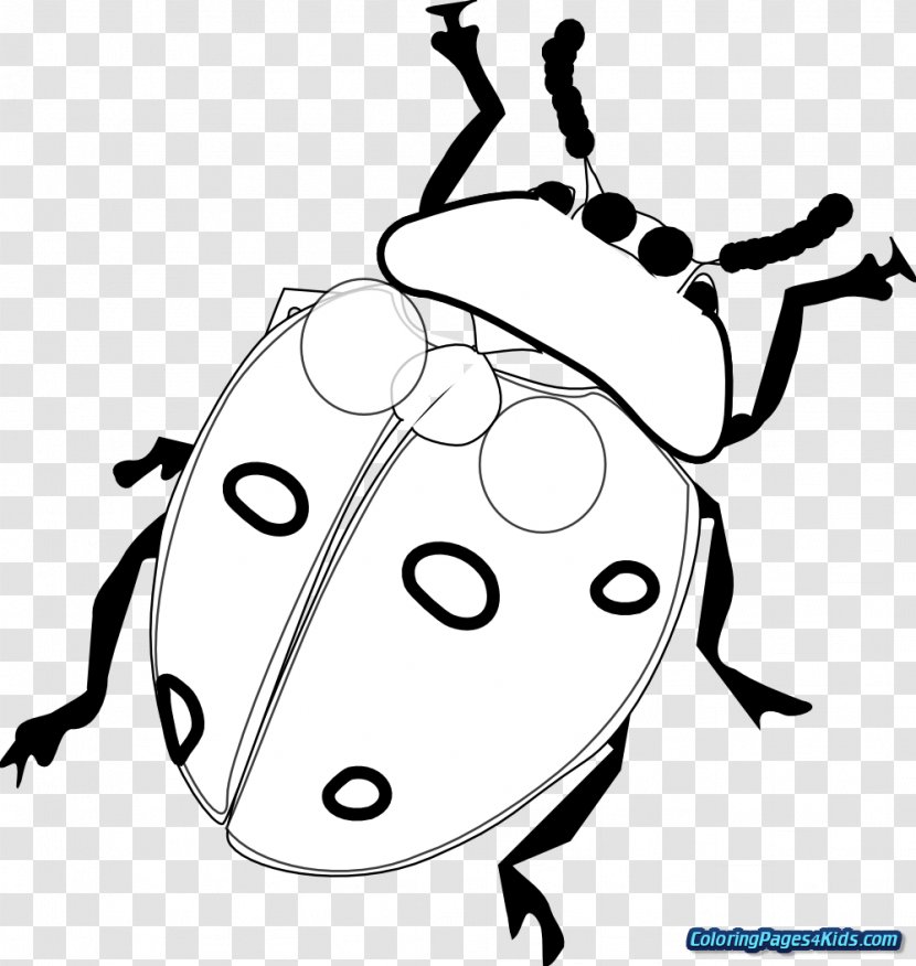 Clip Art Vector Graphics Drawing Ladybird Beetle Illustration - Black And White - Chiffon Transparent PNG
