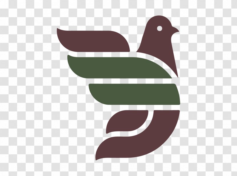 Logo Domestic Pigeon Graphic Design Corporate Identity - Designer - Fly Pigeons Transparent PNG