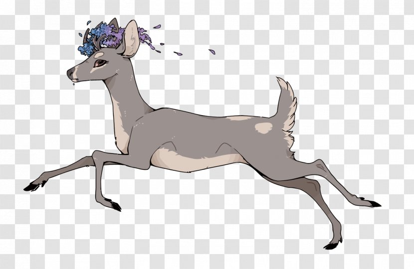 Italian Greyhound Reindeer - Horse Like Mammal - Vector Run Deer Transparent PNG