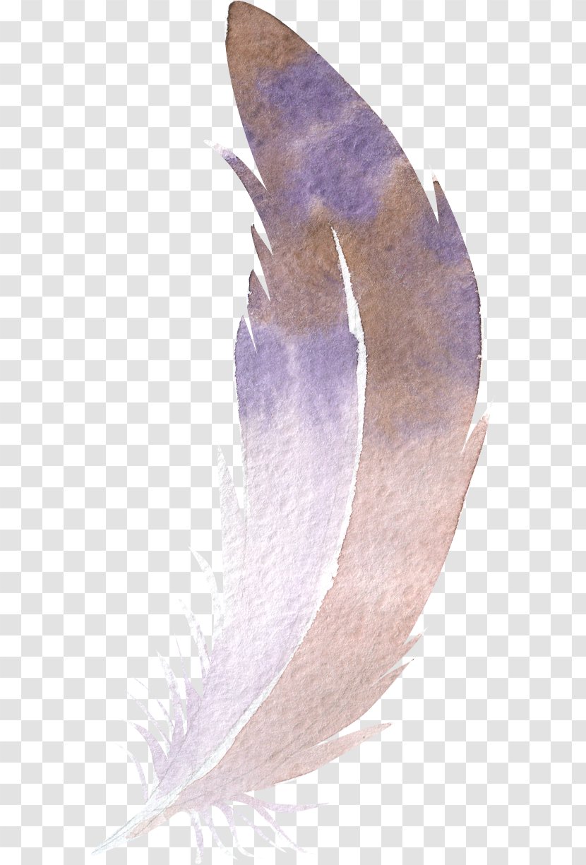 Feather Watercolor Painting - Pen Transparent PNG