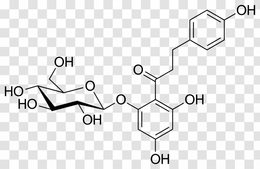 Phlorizin Medicinal Plants SGLT2 Chemical Substance Broadleaf Plantain - Number 20 Transparent PNG