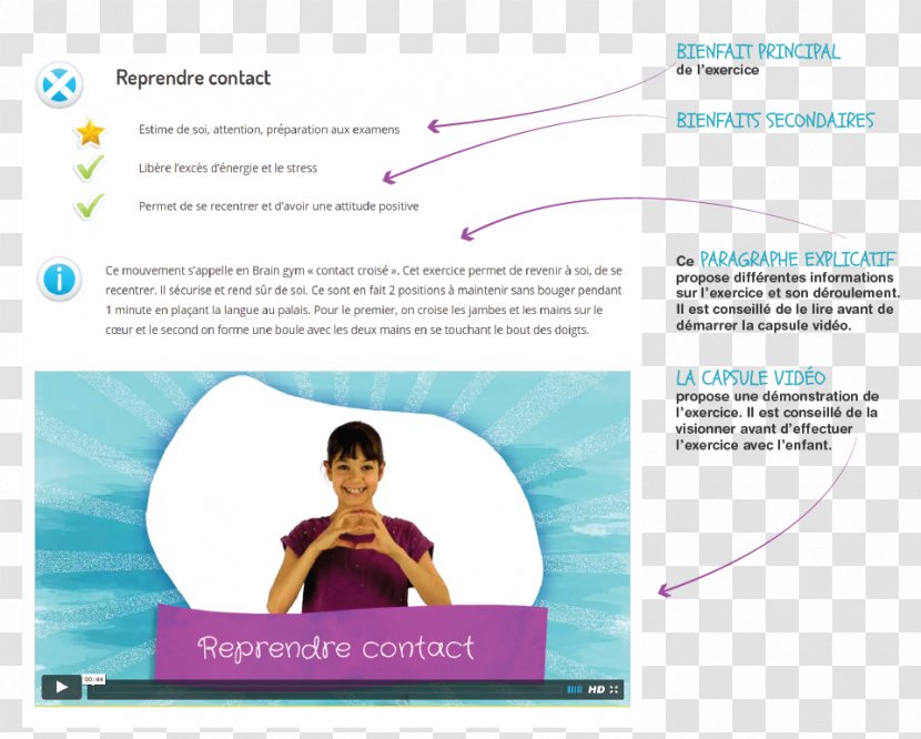 Graphic Design Advertising Brochure Superclass - Education - Cerveau Transparent PNG
