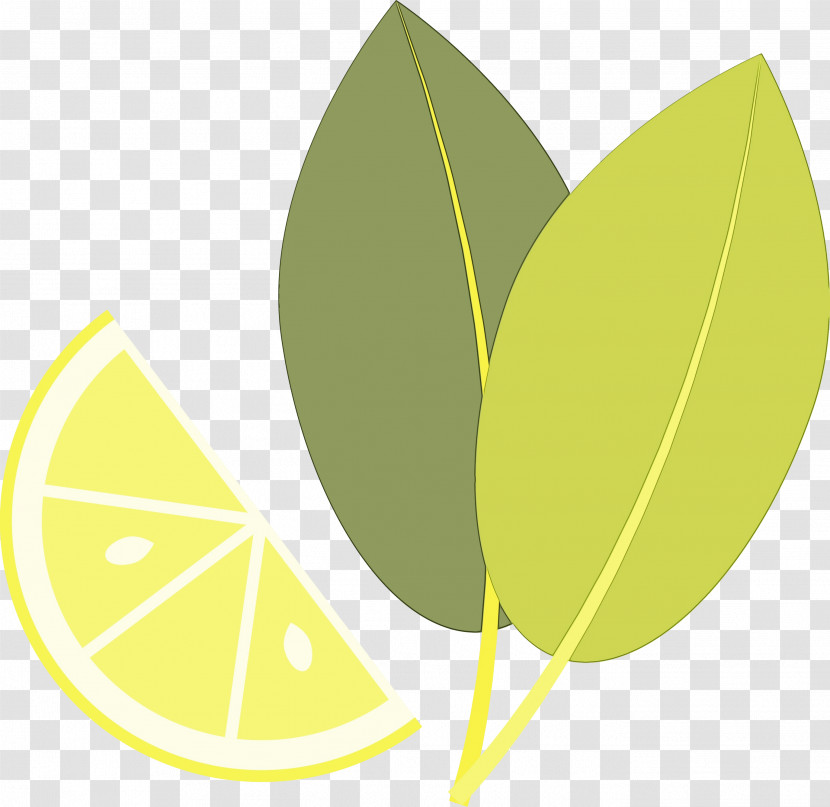 Plant Stem Leaf Font Green Fruit Transparent PNG
