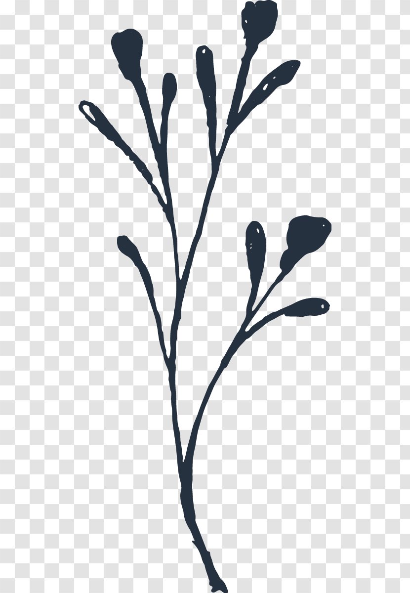 Black And White Download - Cartoon - Hand-painted Plants Transparent PNG