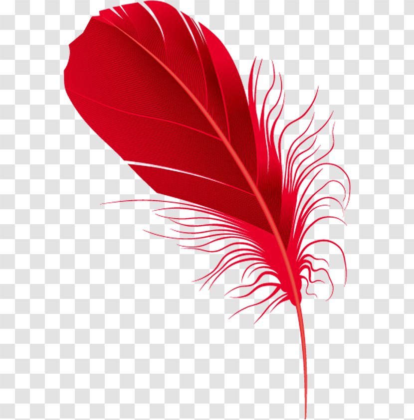 Red Feather. - Flower - Feather Transparent PNG