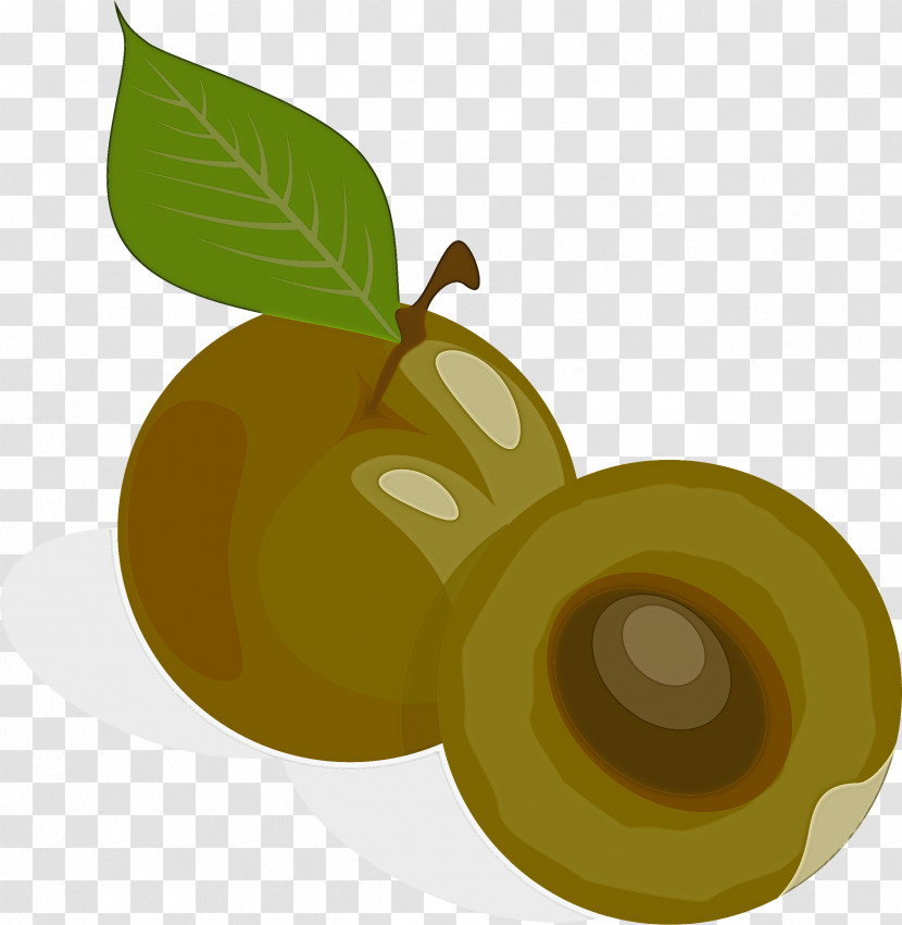 Fruit Plant Leaf Food Tree Transparent PNG