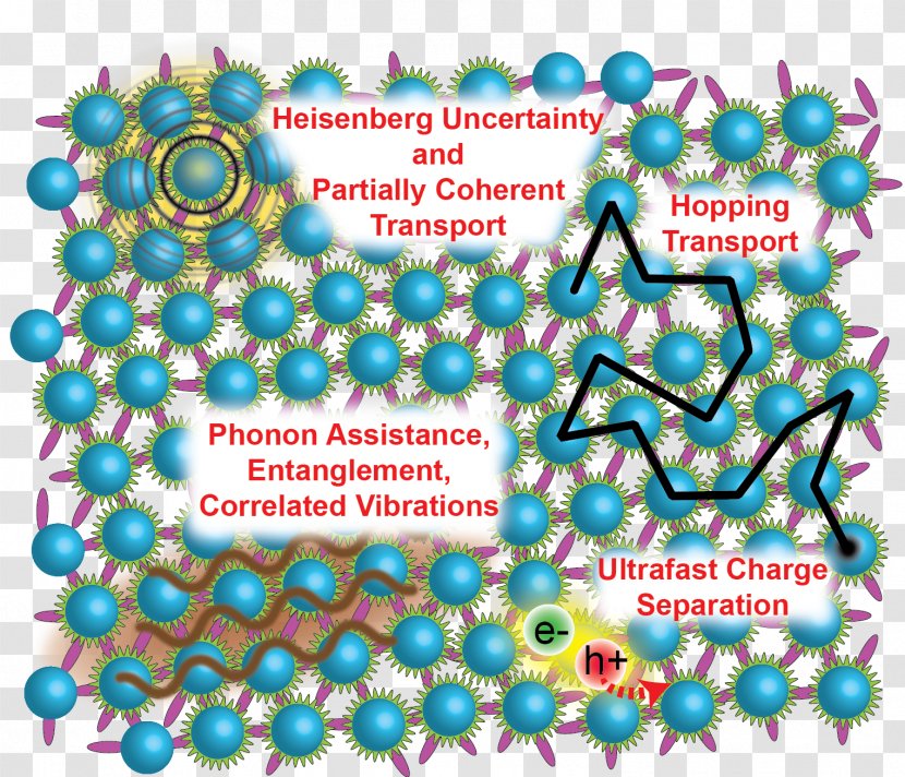 Exciton Condensed Matter Physics Photon Phonon - Professor Physicist Transparent PNG