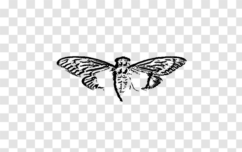 Cicada 3301 Organization Game Secret Society Cicadoidea - Pollinator - Cryptography Transparent PNG