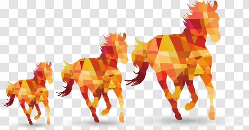 Horse Stallion Mare Equestrianism Illustration - Organism - Creative Transparent PNG