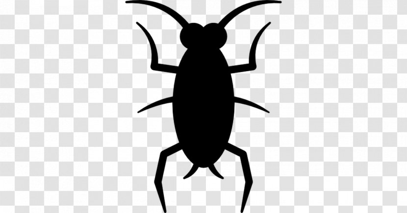 Fly Cockroach Beetle Clip Art Transparent PNG