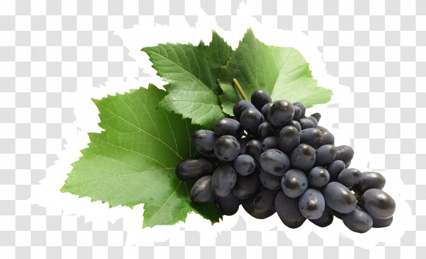 Zante Currant Common Grape Vine Juice Transparent PNG