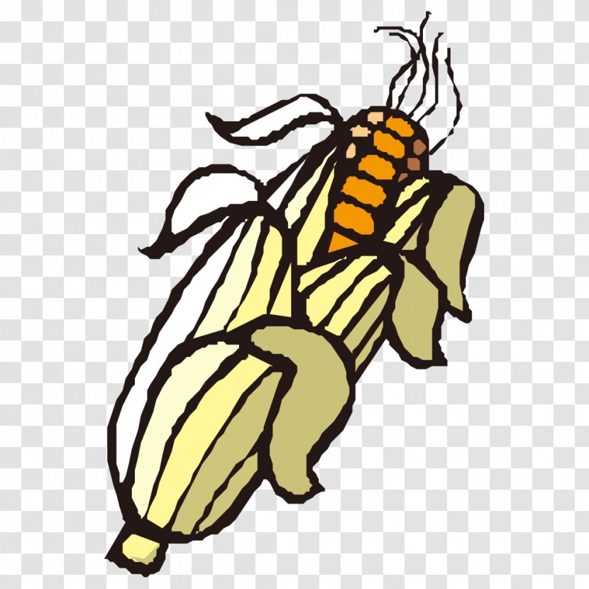 Honey Bee Clip Art - Photography - Corn Transparent PNG