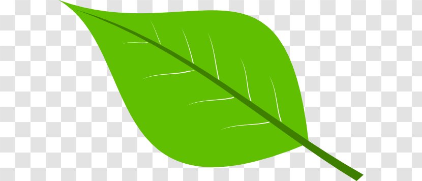 Desktop Wallpaper Clip Art - Leaf - Plant Transparent PNG