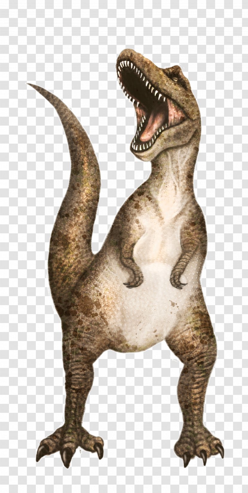 Tyrannosaurus Dinosaur Euclidean Vector - Terrestrial Animal Transparent PNG