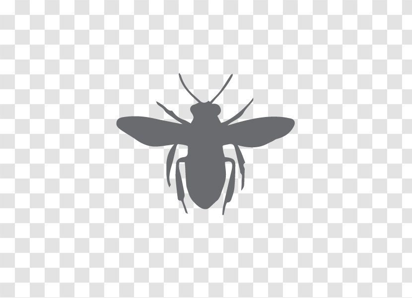 European Dark Bee Silhouette Clip Art - Honey Transparent PNG