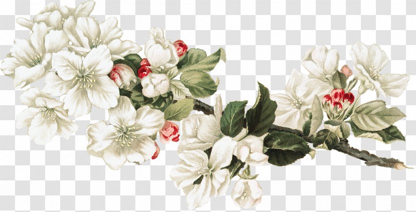 Floral Design Cut Flowers Honey Collage - Flower Bouquet Transparent PNG