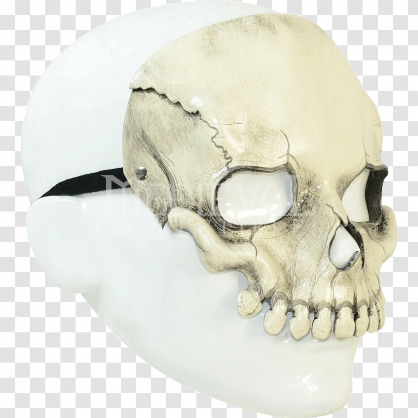 Jaw Skull Transparent PNG