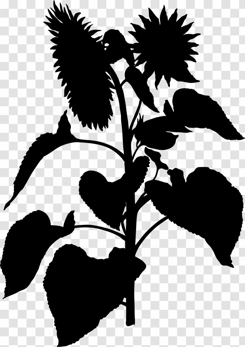 Flower Plant Stem Leaf Clip Art Silhouette - Stencil - Blackandwhite Transparent PNG