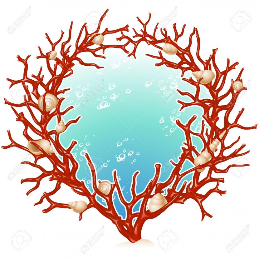 Red Coral Picture Frames Clip Art Transparent PNG