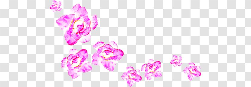 Garden Roses Pink Ornament - Flower - Purple Transparent PNG