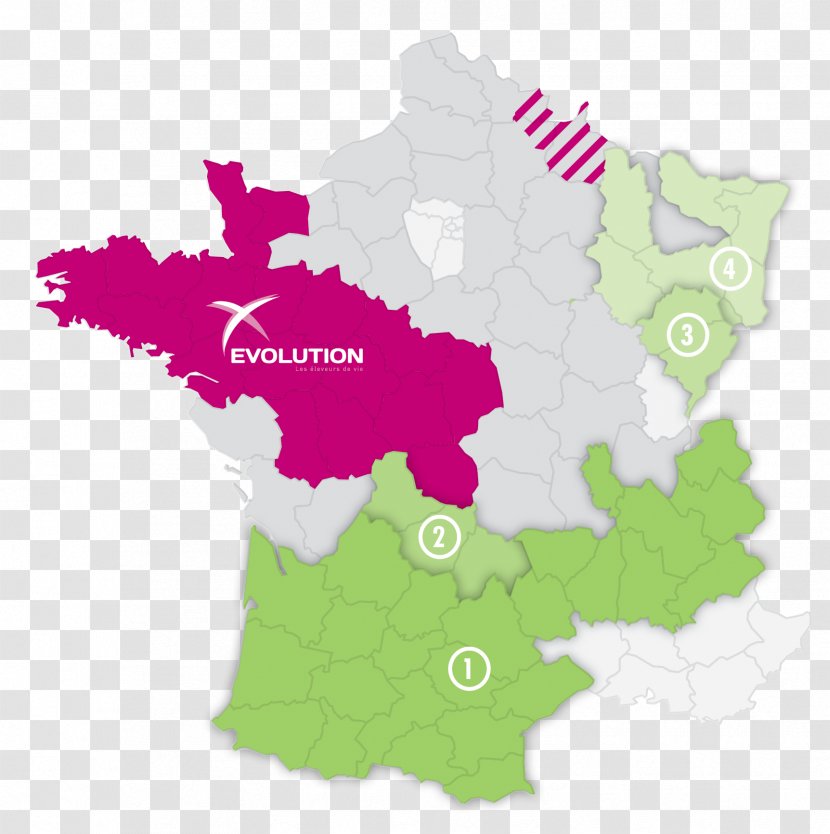 France Vector Map - Pink Transparent PNG