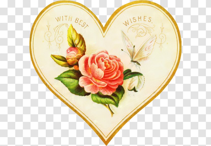Valentines Day Heart - Cut Flowers - Camellia Petal Transparent PNG