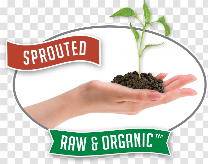 Organic Food Raw Foodism Superfood Hemp - Nut - Butter Transparent PNG
