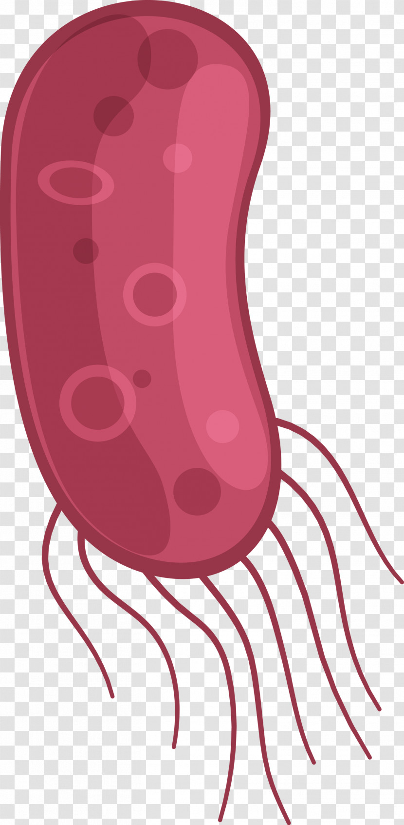 Coronavirus Corona COVID Transparent PNG