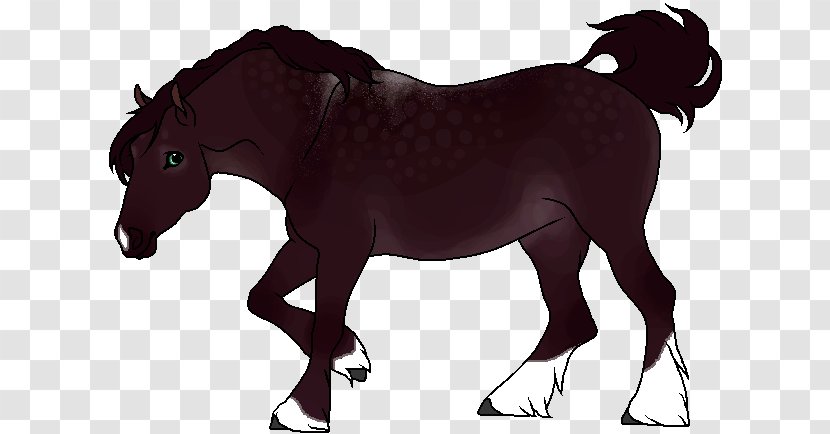 Mule Foal Mare Stallion Mustang - Halter - Horse Transparent PNG