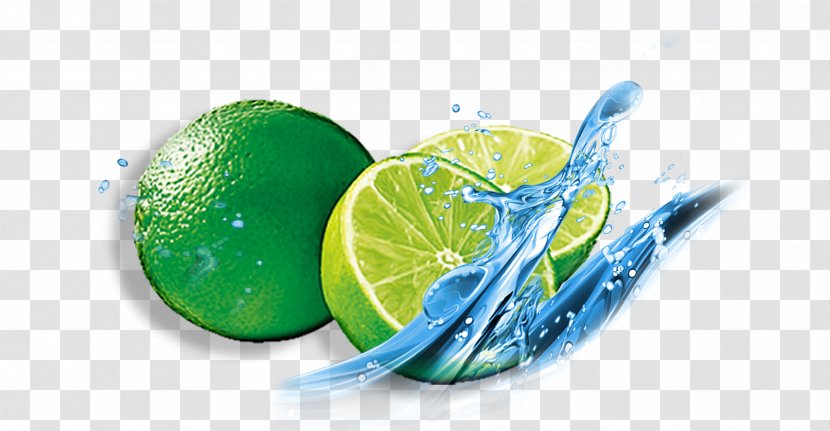 Lime Download Icon Transparent PNG