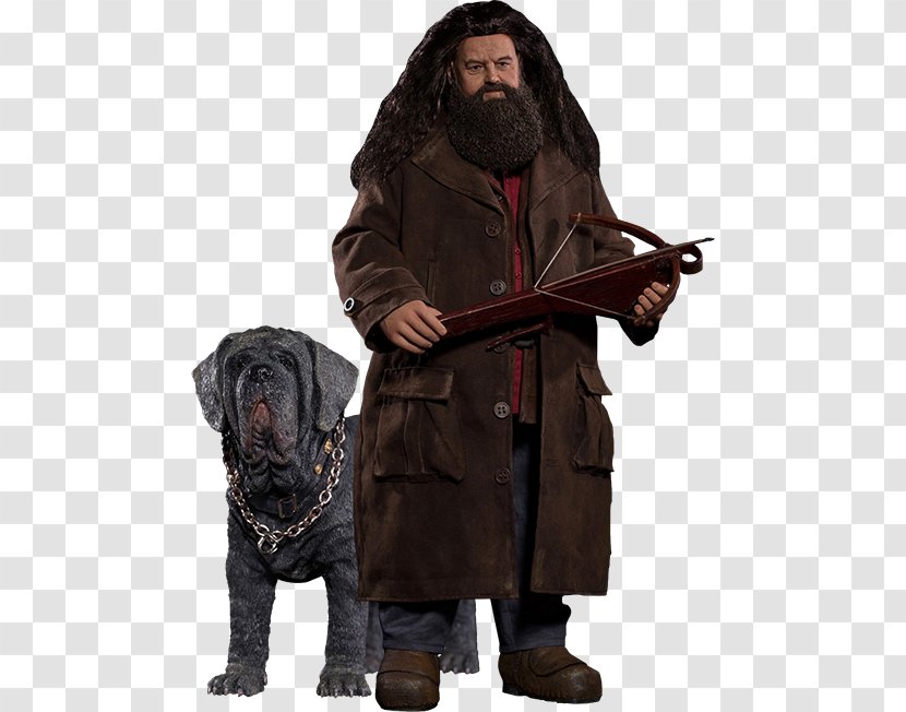 Robbie Coltrane Rubeus Hagrid Harry Potter And The Philosopher's Stone Action & Toy Figures - Magical Creatures In - Sirius Black Transparent PNG