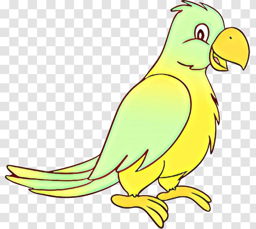 Budgerigar Parrot Macaw Parakeet Bird - Budgie Transparent PNG