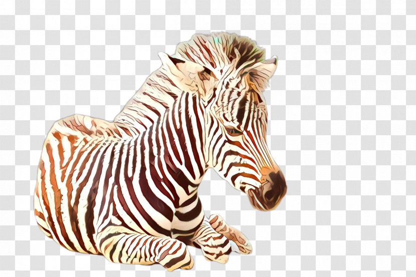 Zebra Animal Figure Wildlife Head Snout Transparent PNG