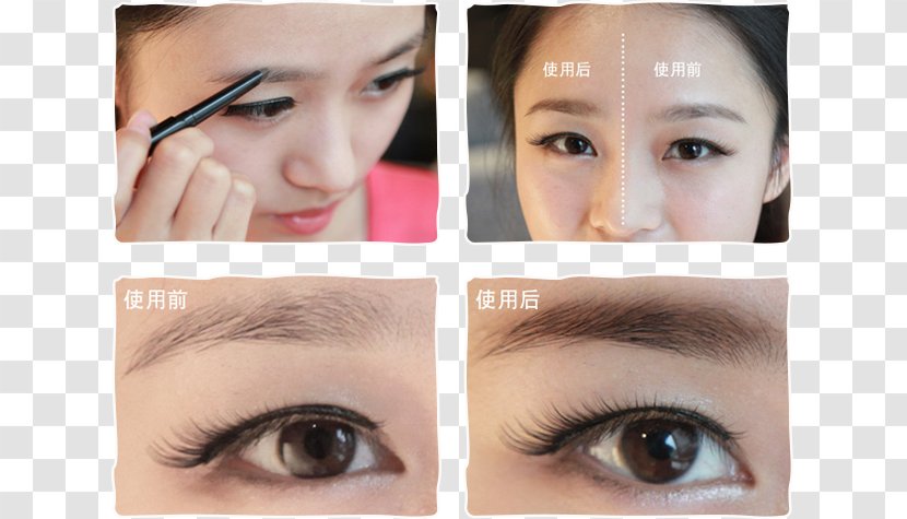 Eyelash Extensions Eyebrow Cosmetics Brush Eye Liner - Cream - Pencil Transparent PNG