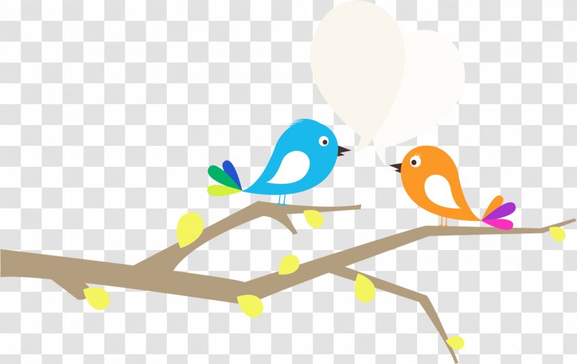 Lovebird Cartoon Drawing - Flower - Bird Branch Transparent PNG