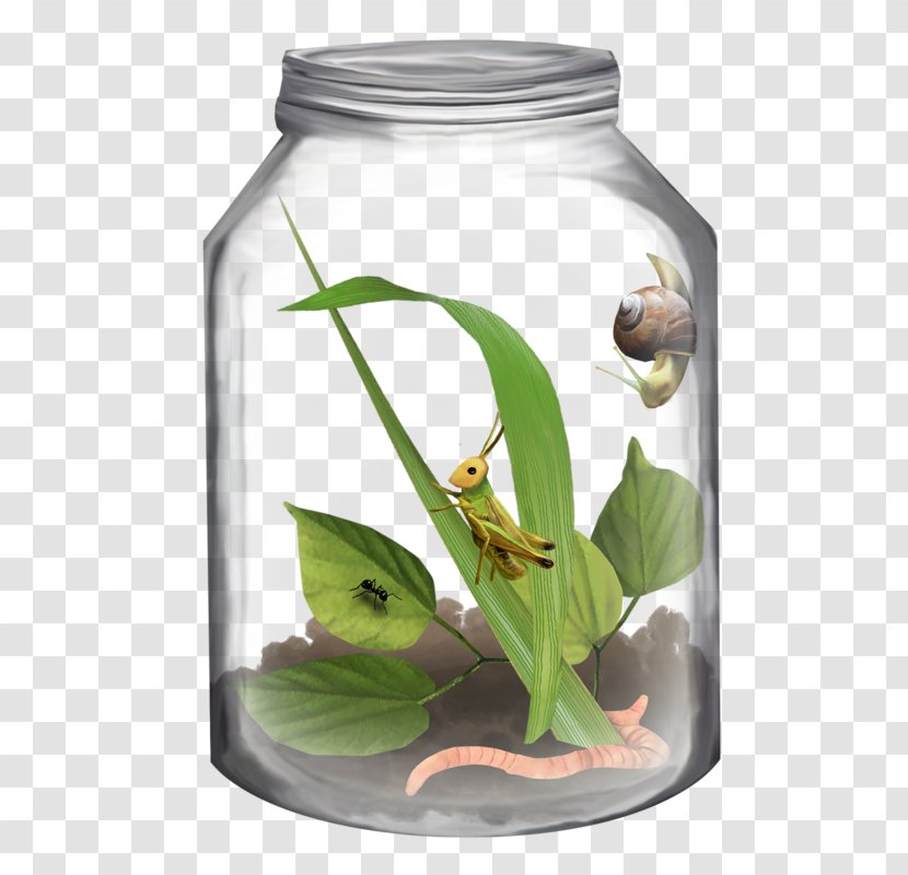 Jar Insect Bottle Clip Art - Flowerpot Transparent PNG