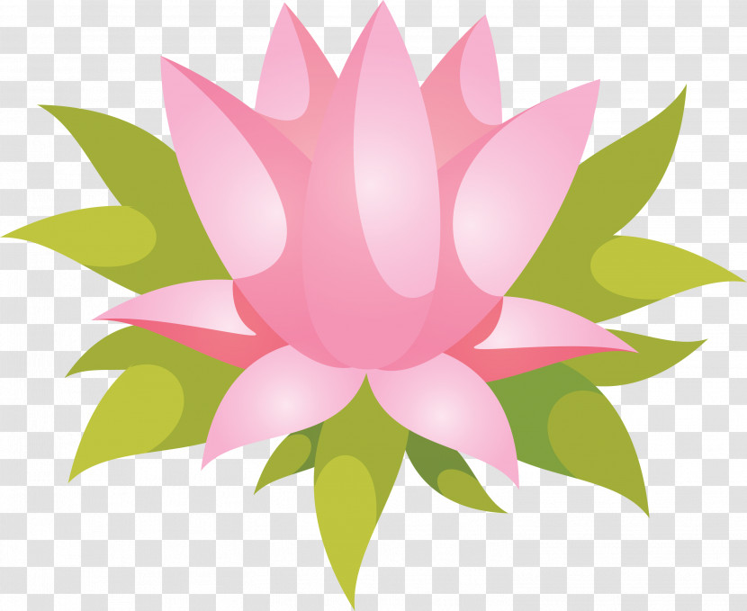 Floral Design Transparent PNG