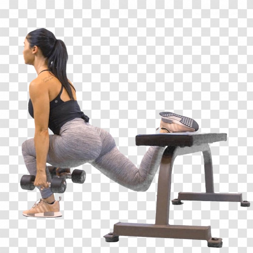 Physical Fitness Centre Exercise Gluteus Maximus Katy Hearn Gym - Tree - Person On Bench Transparent PNG