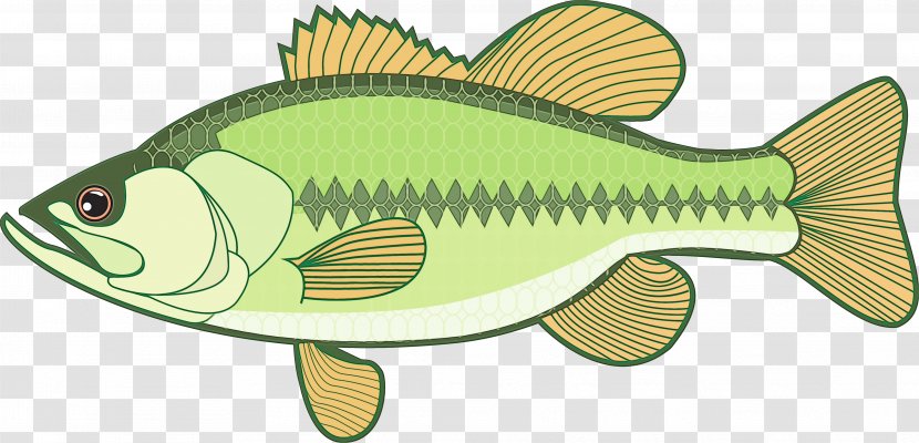 Fishing Cartoon - Fish - Bonyfish Perch Transparent PNG