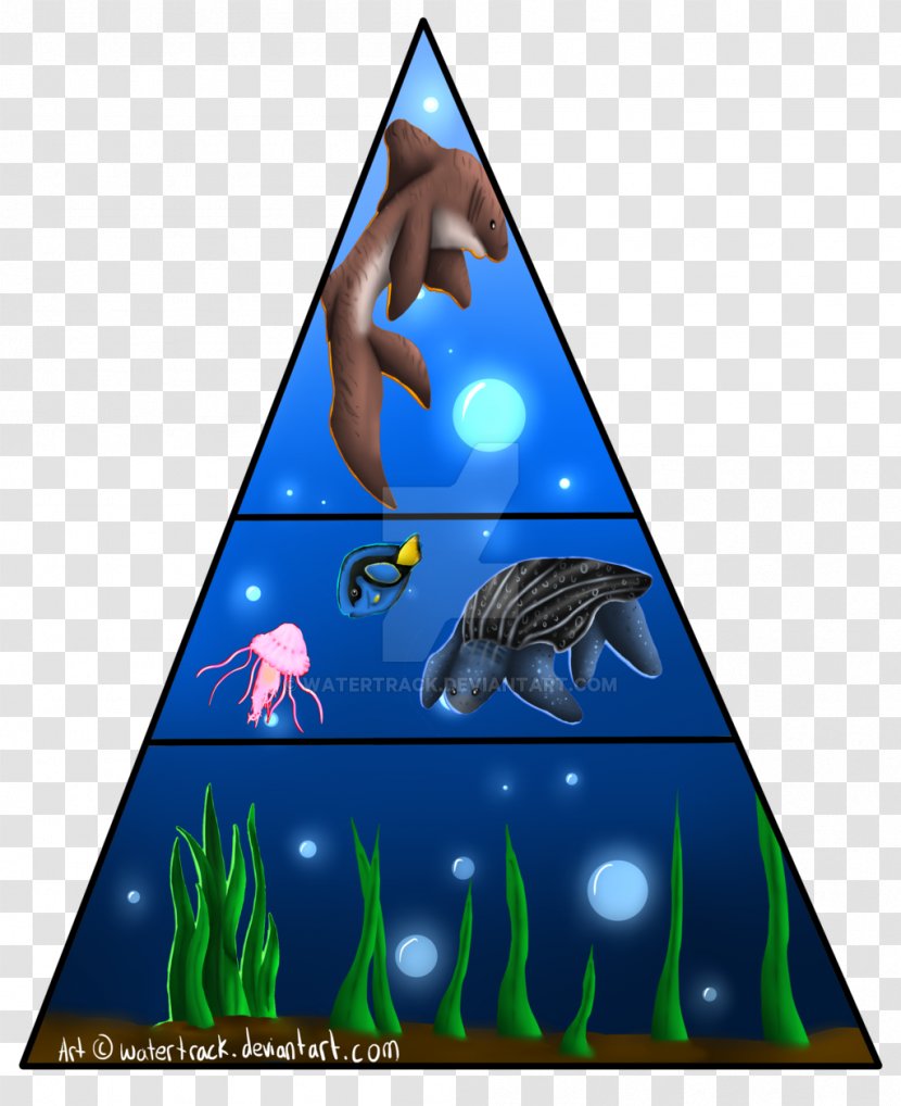 Leatherback Sea Turtle Food Pyramid - Triangle Transparent PNG