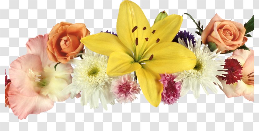 Floral Design Flower Clip Art Photography - Heart - Brahma Kumaris Transparent PNG