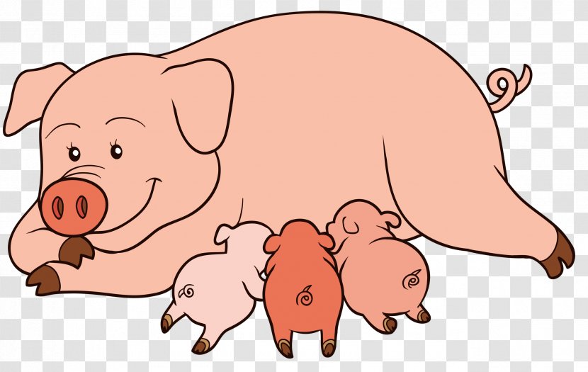 Pig Vector Graphics Illustration Clip Art Drawing - Frame Transparent PNG