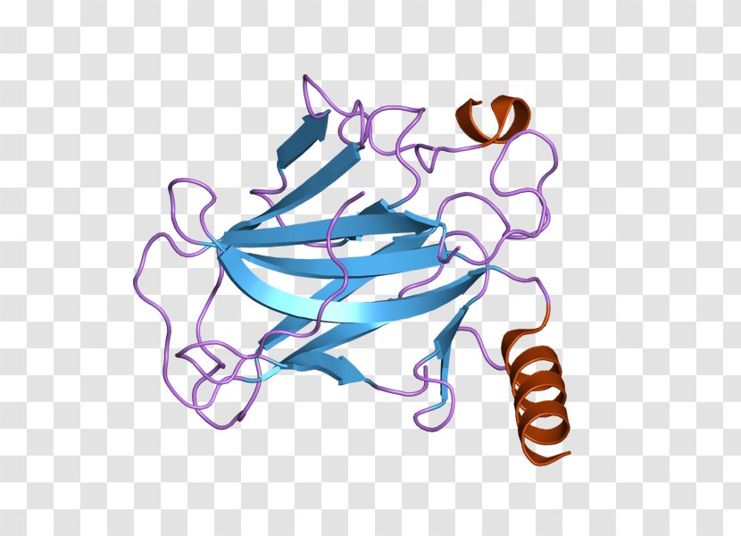 P53 Protein Multicellular Organism Tumor Suppressor Gene - Cancer Transparent PNG